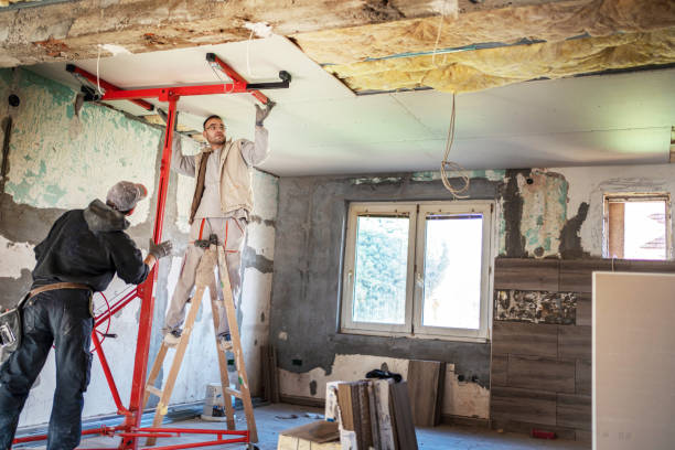 Best Insulation Materials and Products in Carlisle, OH