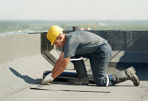 Best Insulation Installation Services in Carlisle, OH